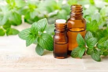 ProstaPrime Support™-ingrediant-Peppermint Leaf Extract